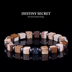 Genuine Landscape Jasper Cube Men's Beaded Bracelet 01 Destiny Secret