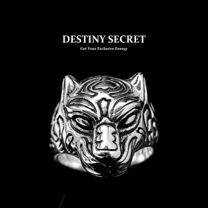 Panther Men's Titanium Ring 01 Destiny Secret