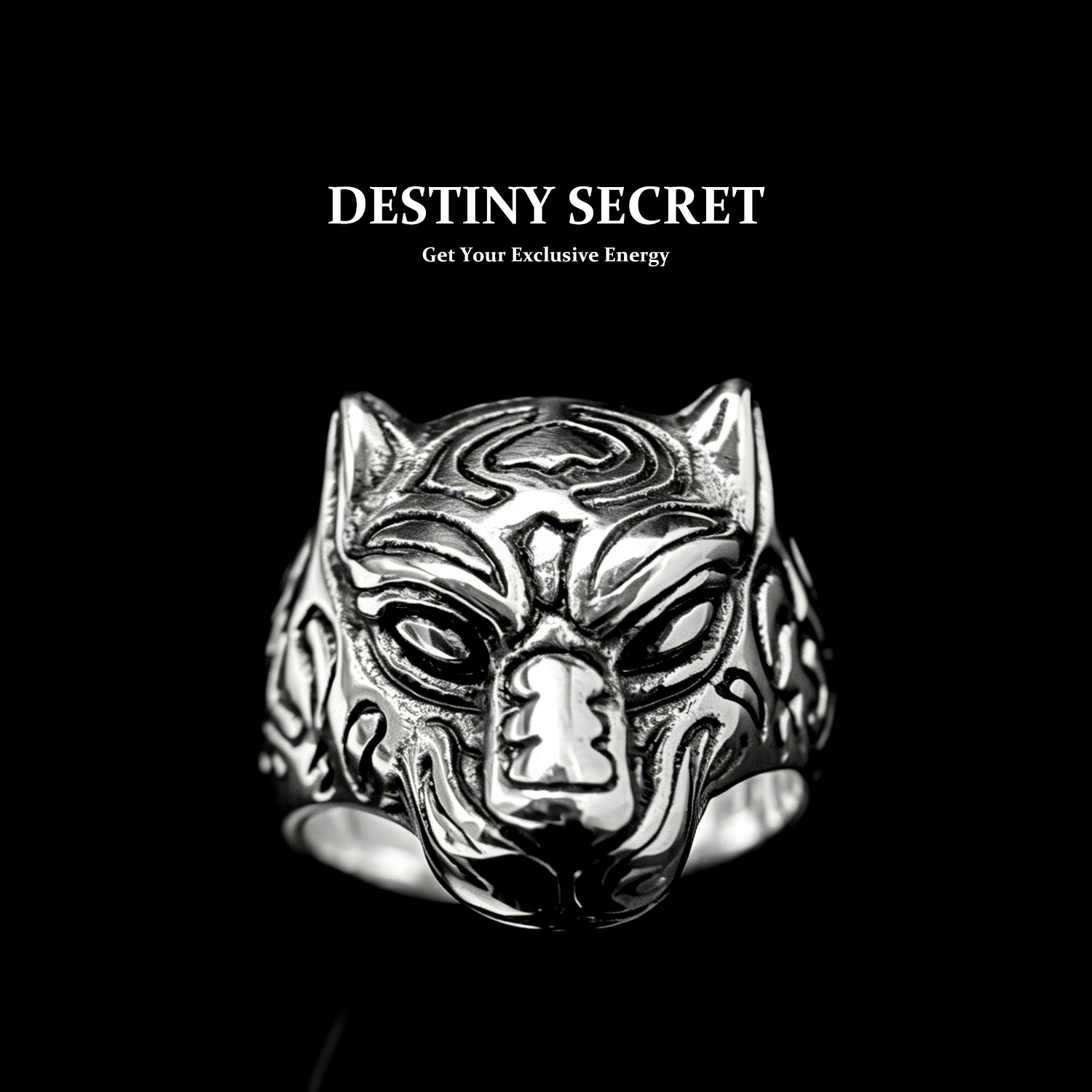 Panther Men's Titanium Ring 01 Destiny Secret