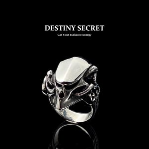 Robot Men's Titanium Ring 01 Destiny Secret